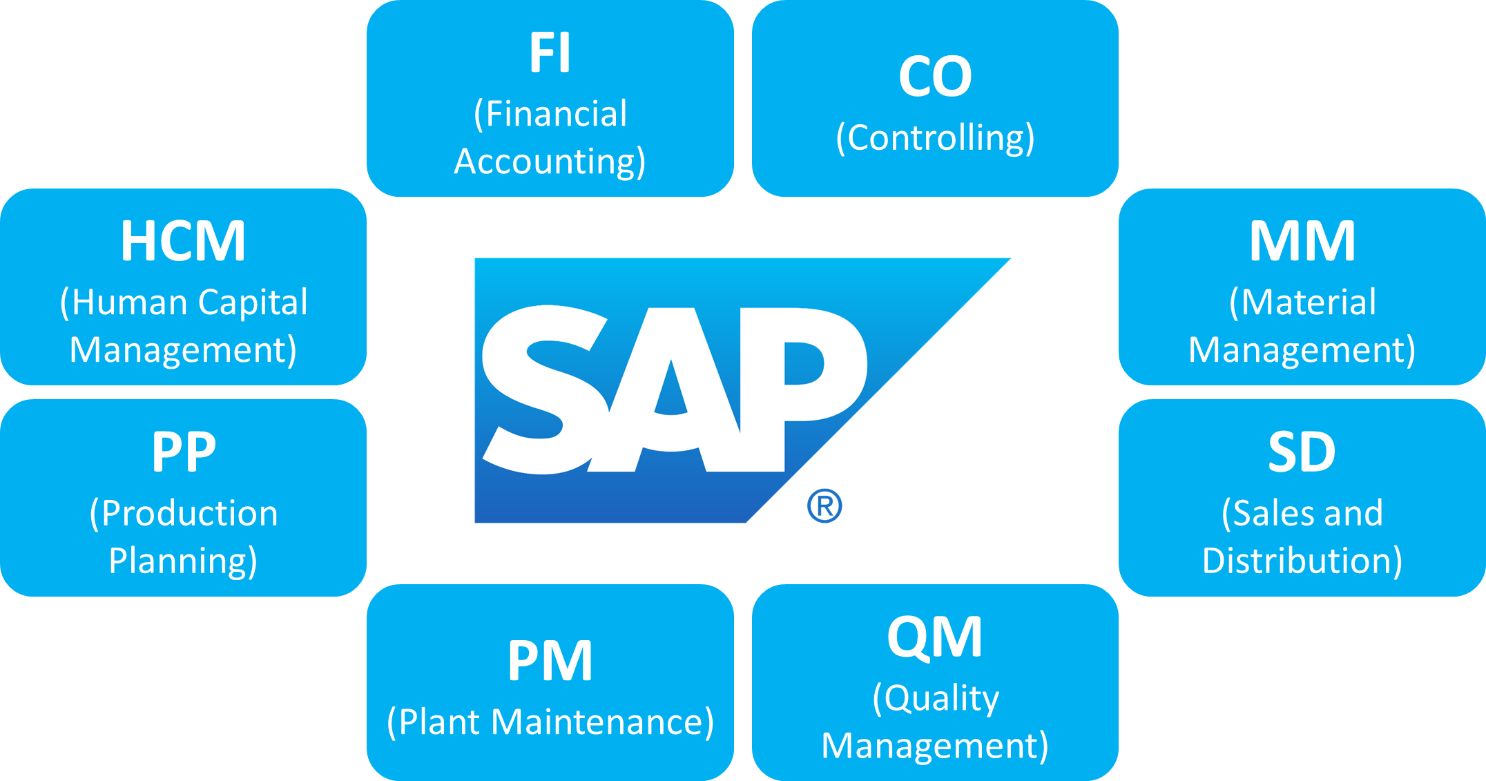 SAP course